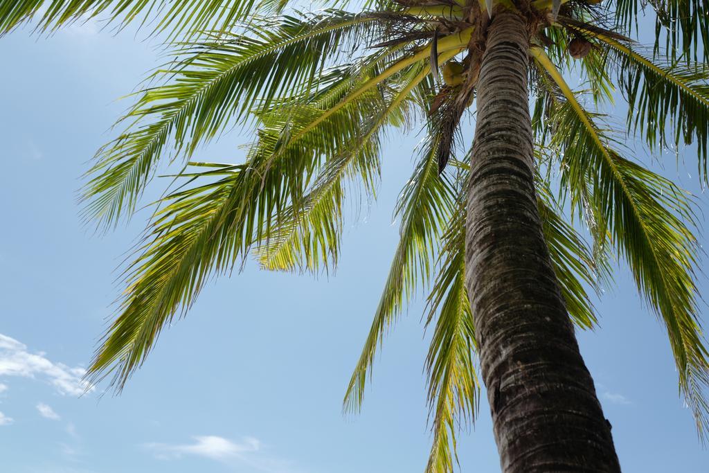 Nature Beach Resort Koh Chang Luaran gambar